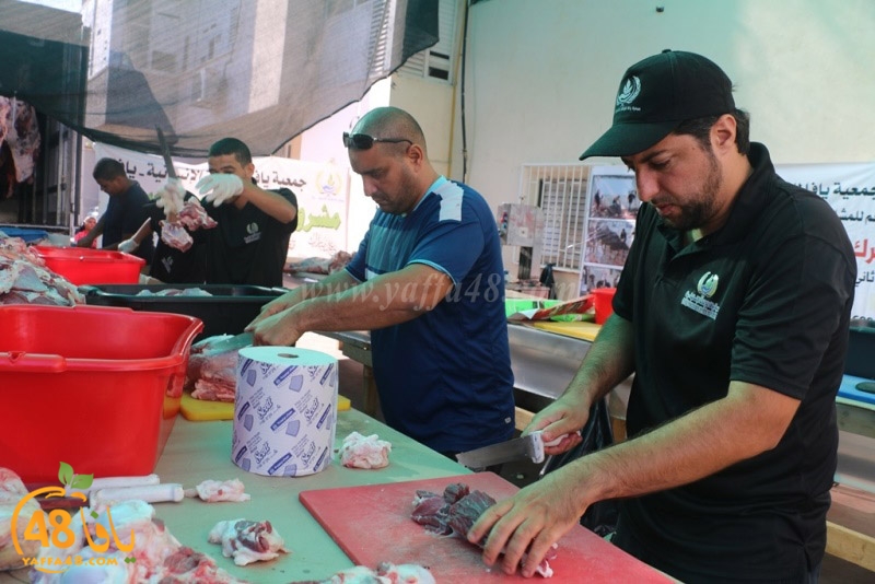 lod8om ada73y (93).JPG